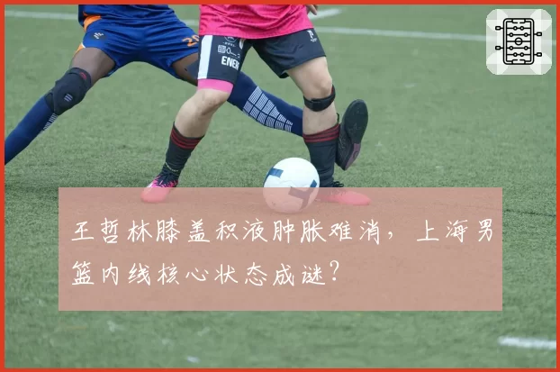 王哲林膝盖积液肿胀难消，上海男篮内线核心状态成谜？