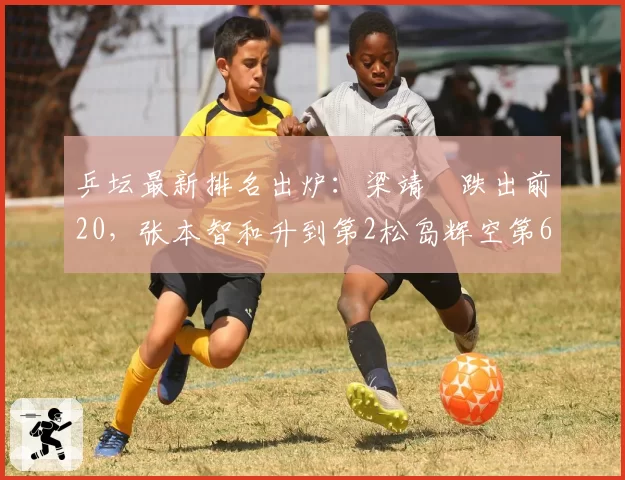 乒坛最新排名出炉：梁靖崑跌出前20，张本智和升到第2松岛辉空第6