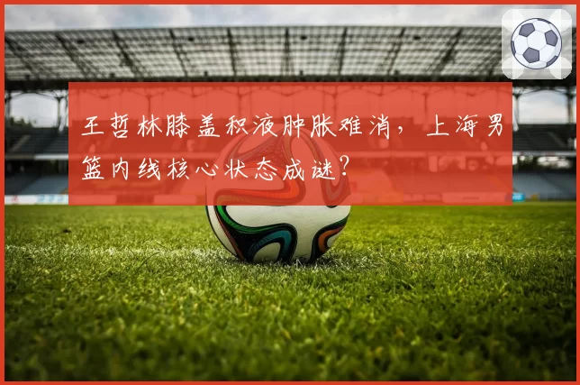 王哲林膝盖积液肿胀难消，上海男篮内线核心状态成谜？